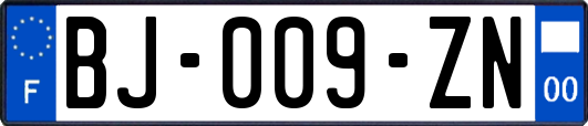 BJ-009-ZN