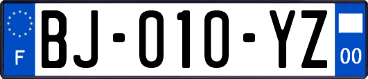 BJ-010-YZ
