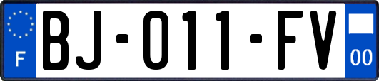 BJ-011-FV