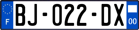 BJ-022-DX