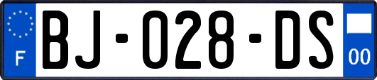 BJ-028-DS