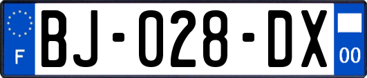 BJ-028-DX