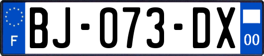 BJ-073-DX