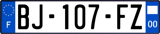 BJ-107-FZ