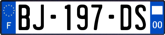 BJ-197-DS