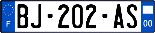BJ-202-AS