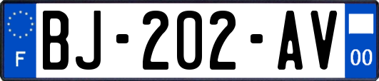 BJ-202-AV