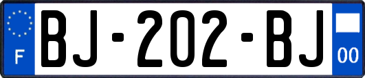 BJ-202-BJ