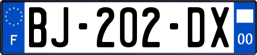 BJ-202-DX