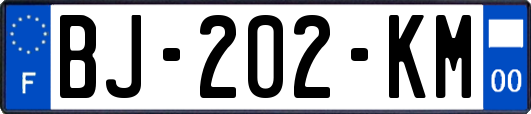 BJ-202-KM