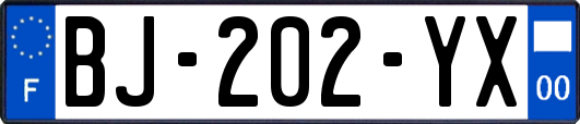 BJ-202-YX