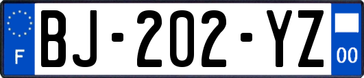 BJ-202-YZ