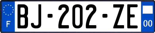 BJ-202-ZE