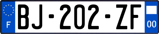 BJ-202-ZF