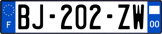 BJ-202-ZW
