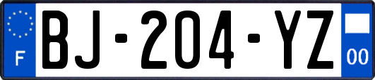 BJ-204-YZ