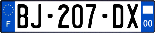 BJ-207-DX