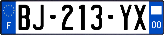 BJ-213-YX