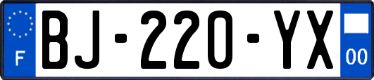 BJ-220-YX