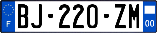 BJ-220-ZM