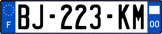 BJ-223-KM