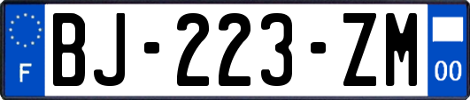 BJ-223-ZM