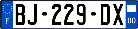 BJ-229-DX