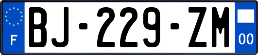 BJ-229-ZM