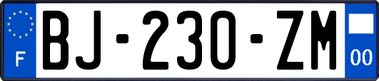 BJ-230-ZM