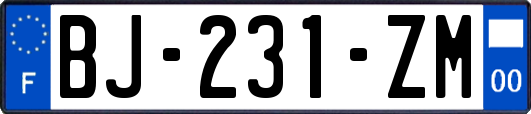 BJ-231-ZM