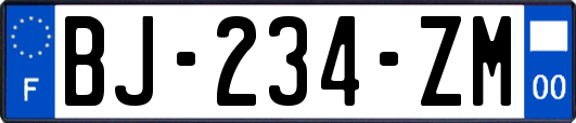 BJ-234-ZM
