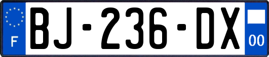 BJ-236-DX