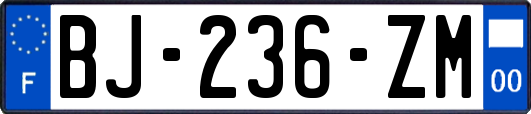 BJ-236-ZM