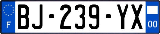 BJ-239-YX