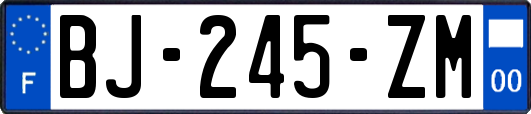 BJ-245-ZM