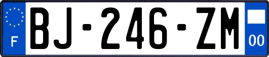 BJ-246-ZM