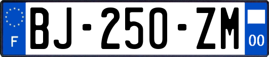 BJ-250-ZM