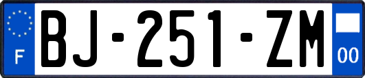 BJ-251-ZM