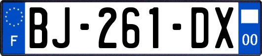 BJ-261-DX