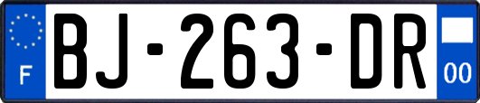 BJ-263-DR