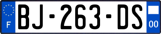 BJ-263-DS