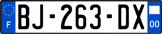 BJ-263-DX