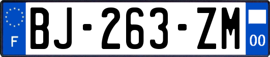 BJ-263-ZM