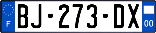 BJ-273-DX