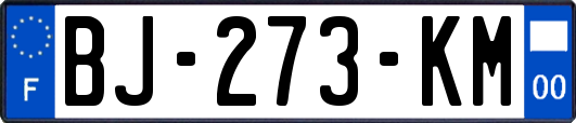 BJ-273-KM