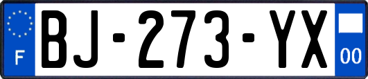 BJ-273-YX