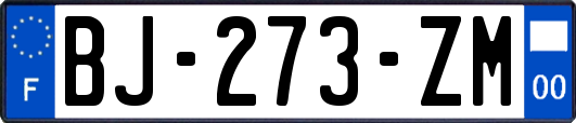 BJ-273-ZM