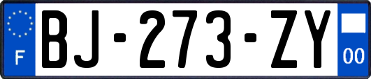BJ-273-ZY
