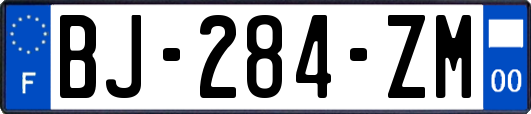 BJ-284-ZM