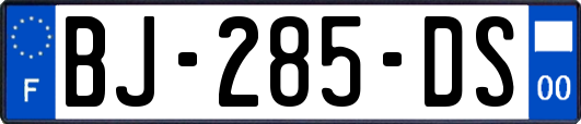 BJ-285-DS